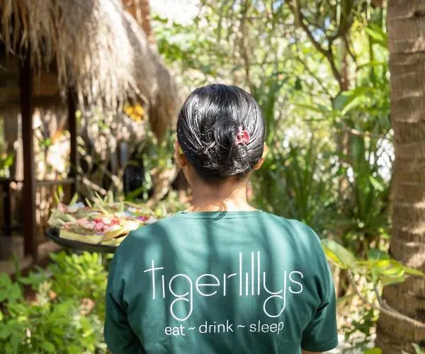 Tigerlillys Boutique 3*