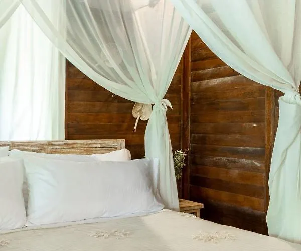Tigerlillys Boutique Hotel