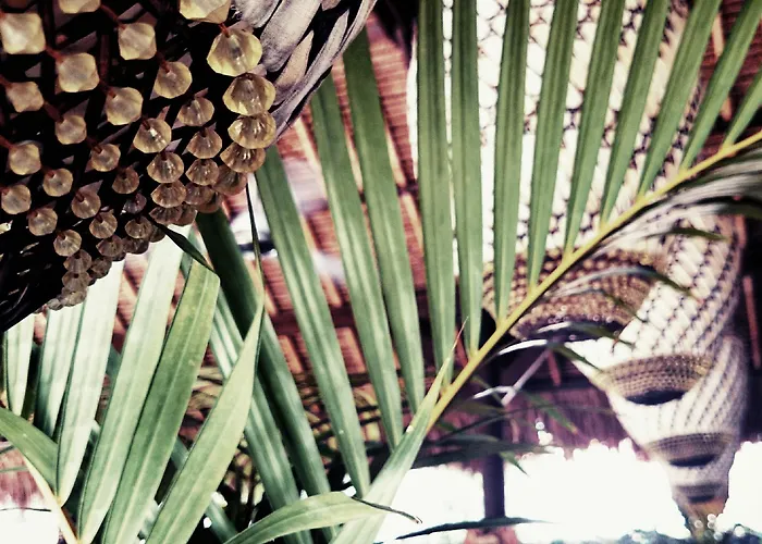 Tigerlillys Boutique Hotel